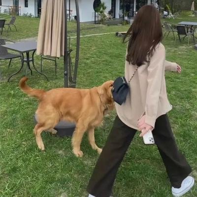 妈妈有新男友了